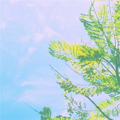 真红之刃mumu模拟器版下载